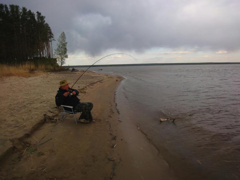 Прикрепленное изображение