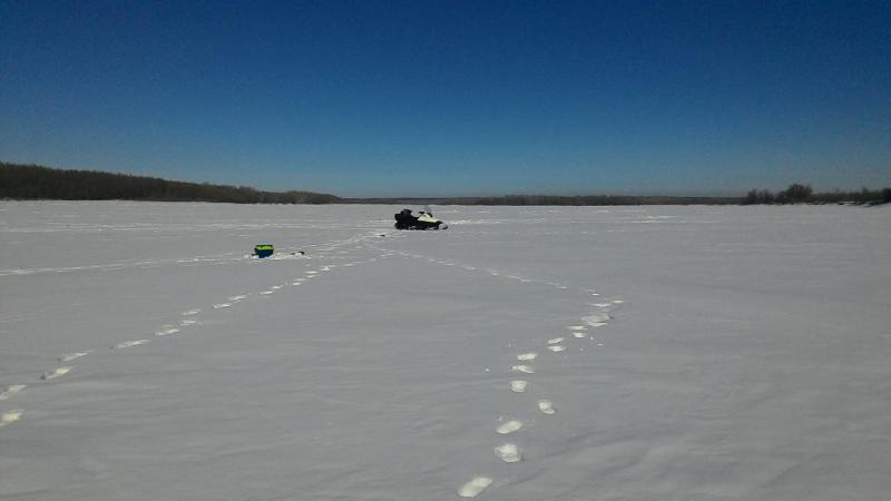 Прикрепленное изображение