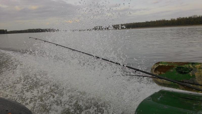 Прикрепленное изображение