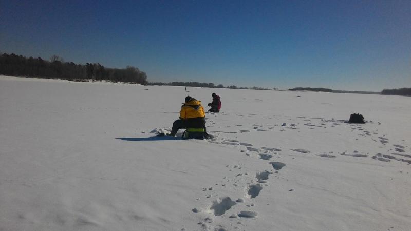 Прикрепленное изображение
