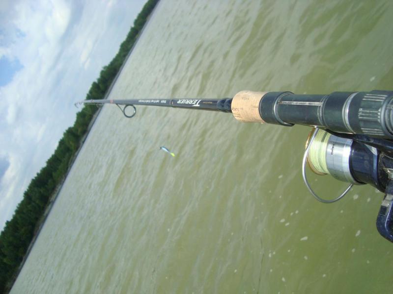 Прикрепленное изображение