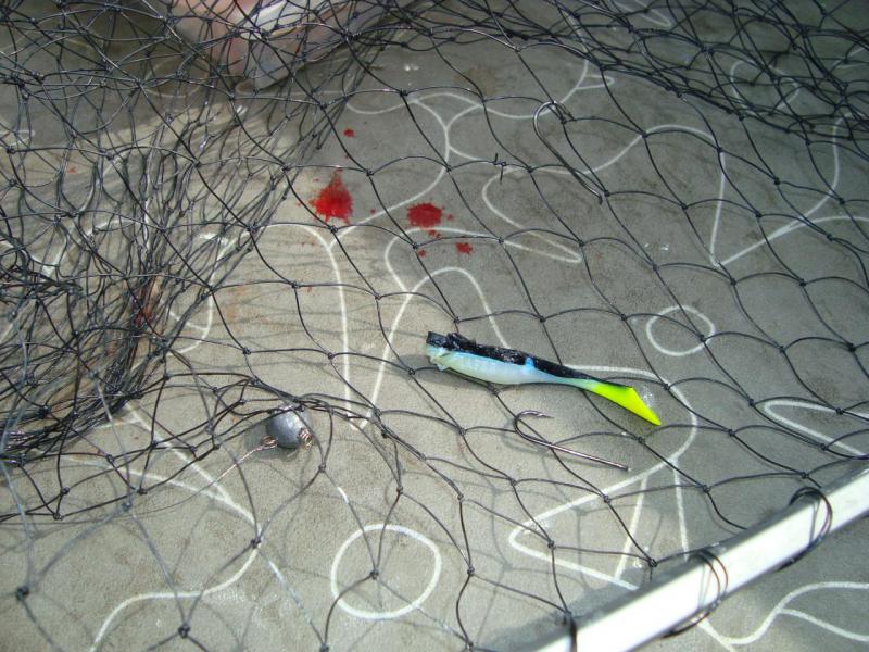 Прикрепленное изображение