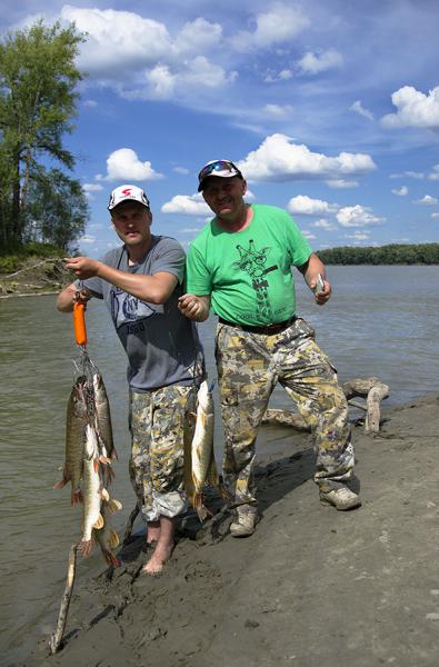 Прикрепленное изображение