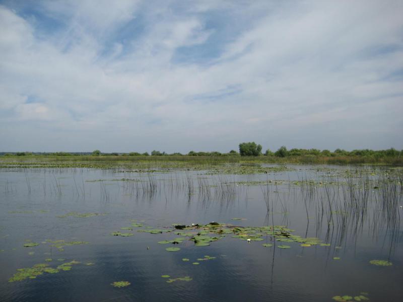 Прикрепленное изображение: IMG_3654.JPG