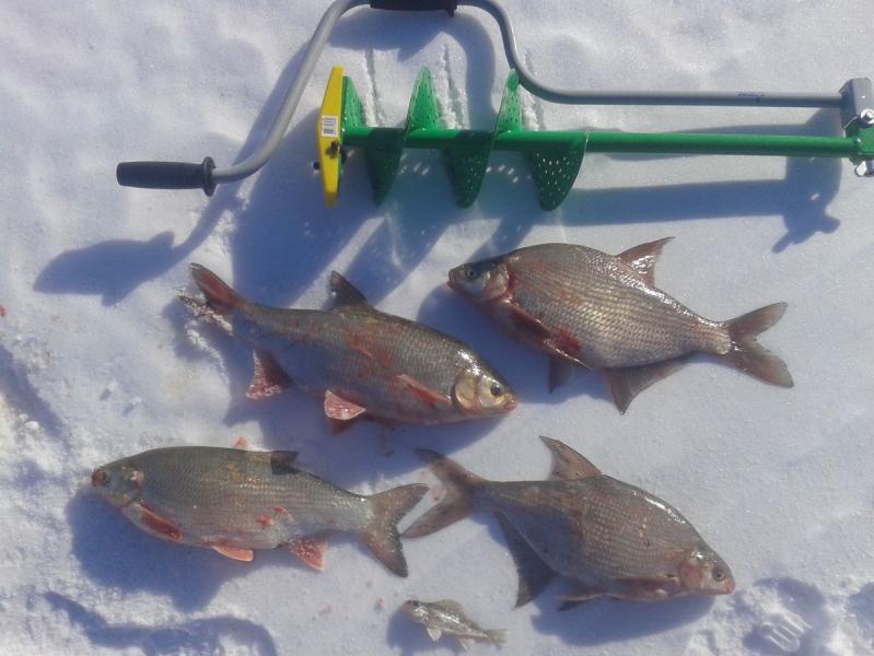 Прикрепленное изображение: 08.jpg