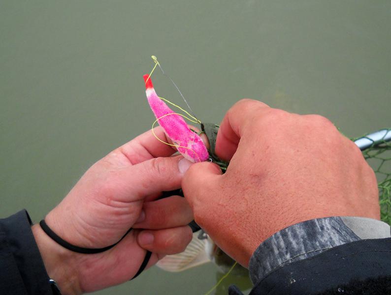 Прикрепленное изображение: сб3.jpg