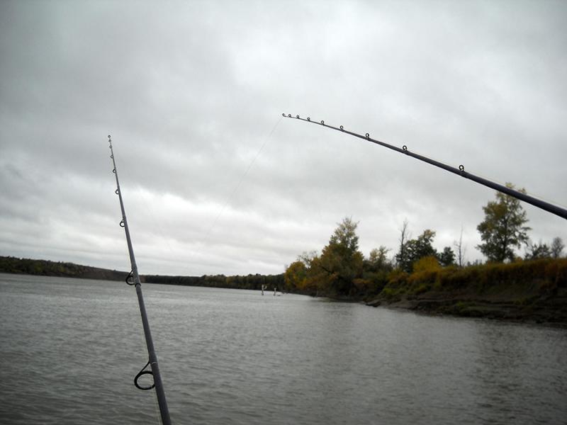 Прикрепленное изображение: сб5.jpg