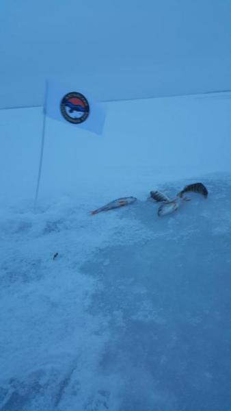 Прикрепленное изображение: ccs-2723-0-01663300-1478928275_thumb.jpg