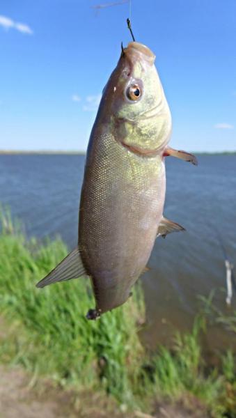 Прикрепленное изображение: photofacefun_com_1499661761.jpg