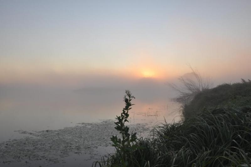 Прикрепленное изображение: DSC_3754.JPG