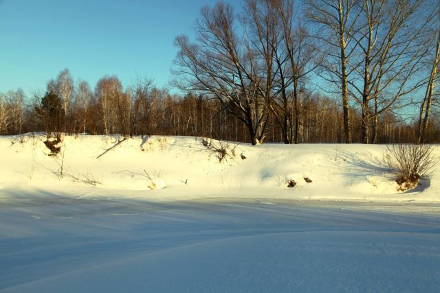 р.Лосиха