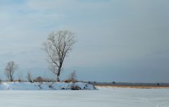 Крючное