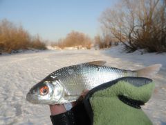 Три воды