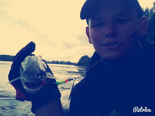 Таймешонок(отпущен)