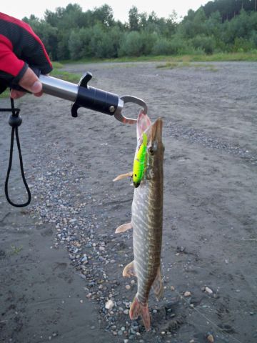 Корд-Р рулит:)