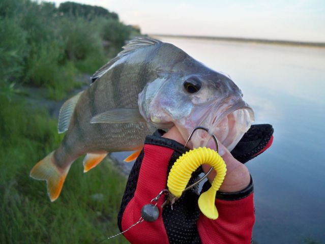 250гр. Рекорд!