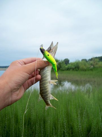 Корд-Р рулит:)