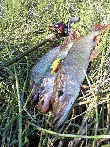 Корд-Р рулит:)