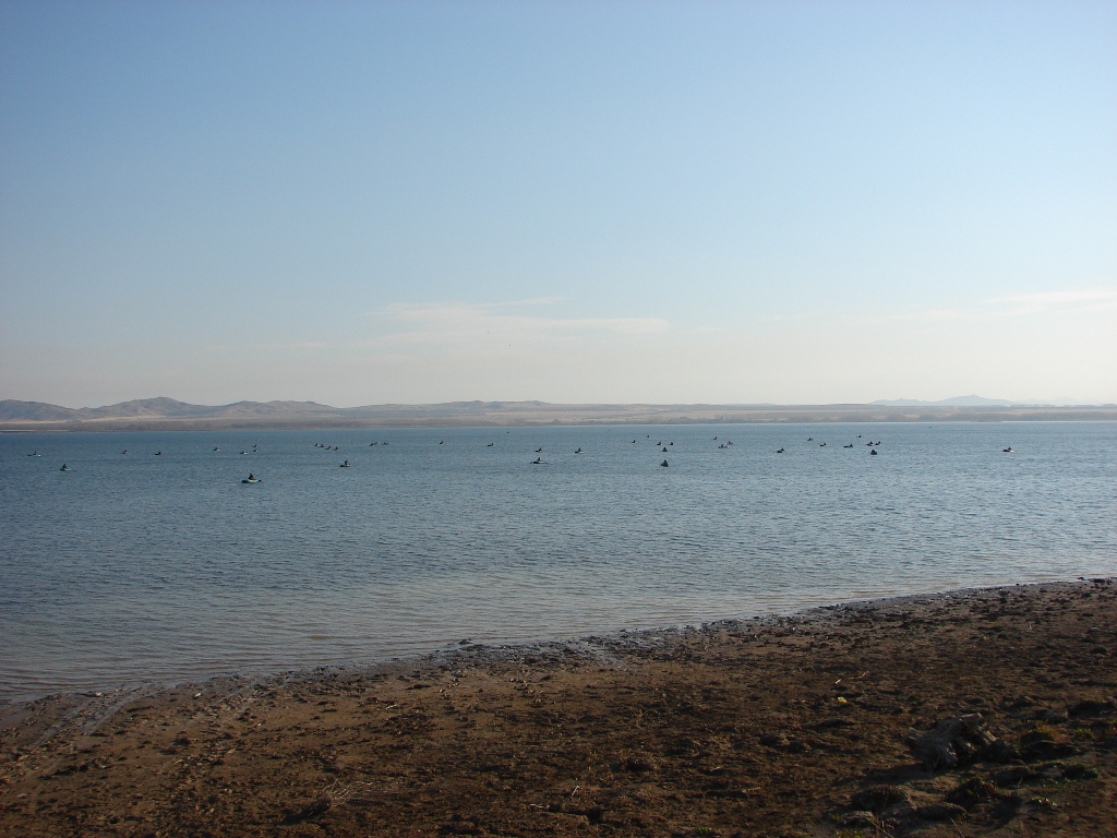 DSC01382