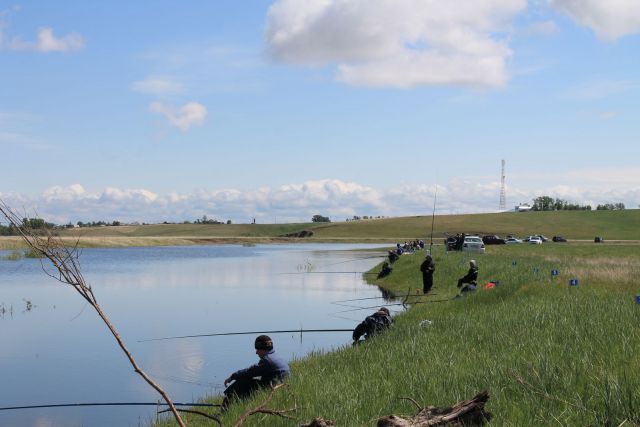 IMG_0177.JPG IMG_0177.JPG