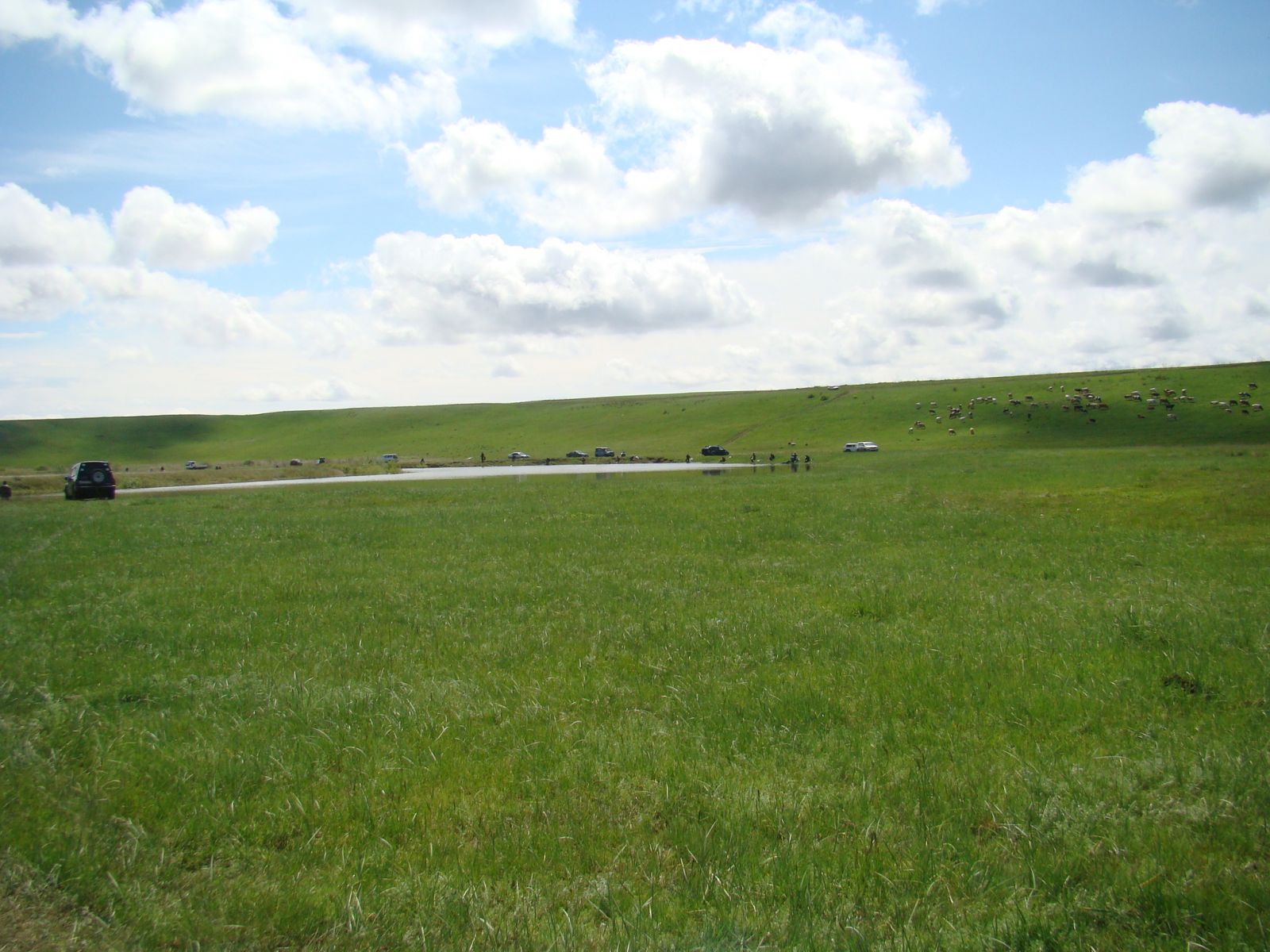 DSC03827.JPG
