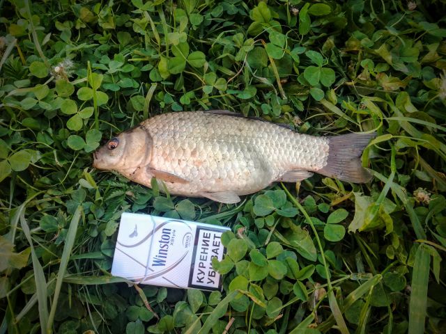 IMG 20180617 173717~2