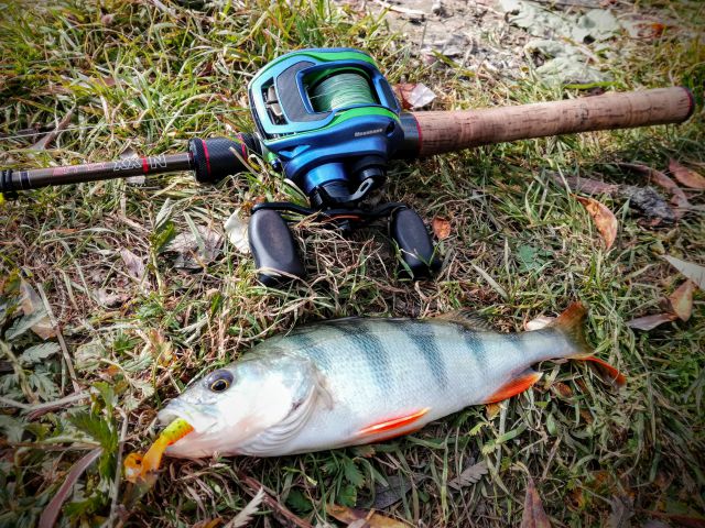 IMG 20180929 144332~2