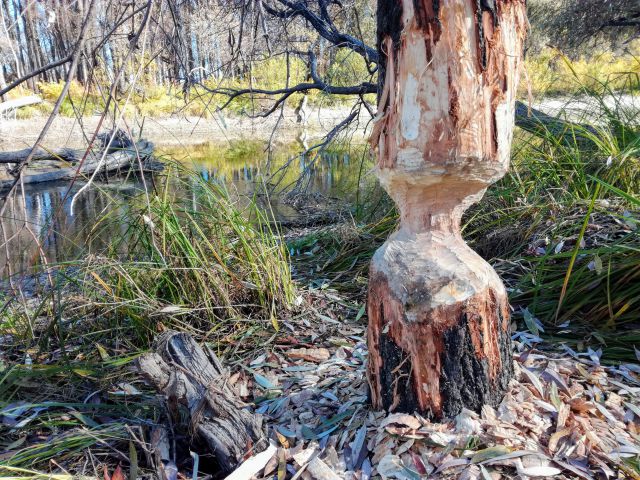 IMG 20181006 141534~2