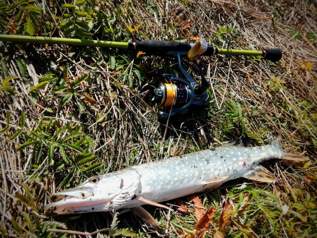 IMG 20180920 135045~2