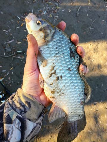 IMG 20180920 174758~2