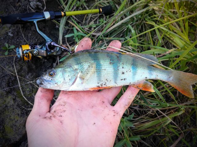 IMG 20180920 123706~2