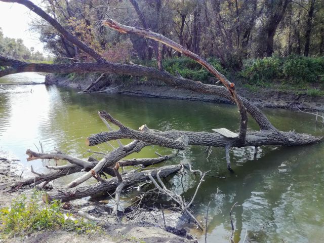 IMG 20180921 135008~2