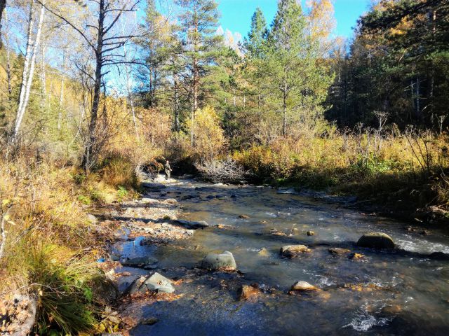 IMG 20180928 162316~2