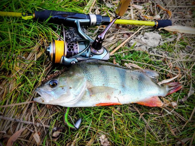 IMG 20181006 182541~2