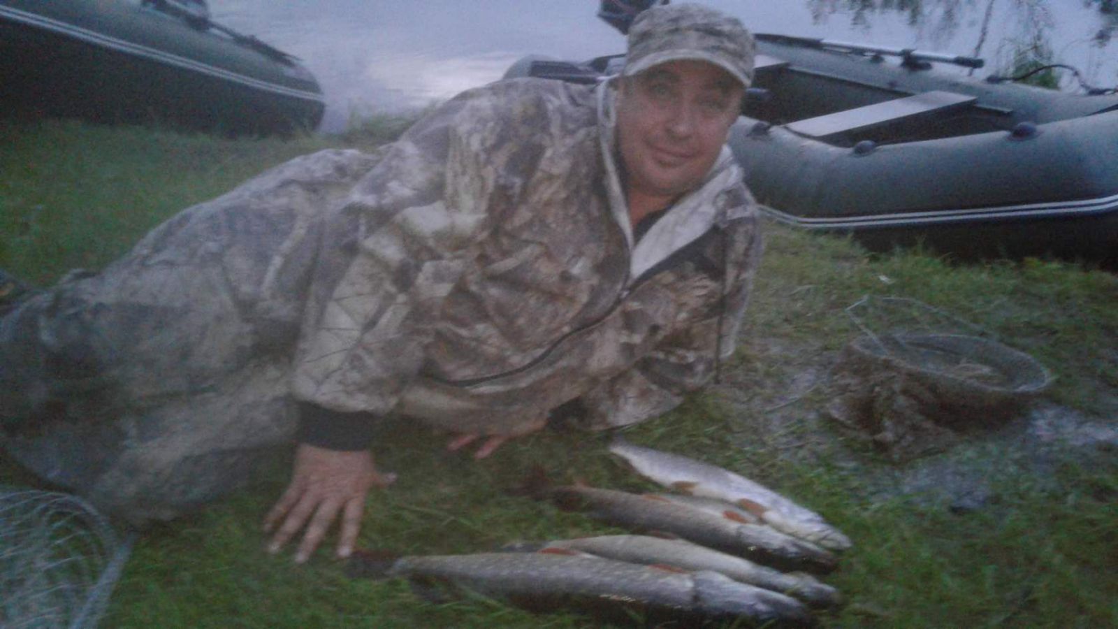 photo 1517147309