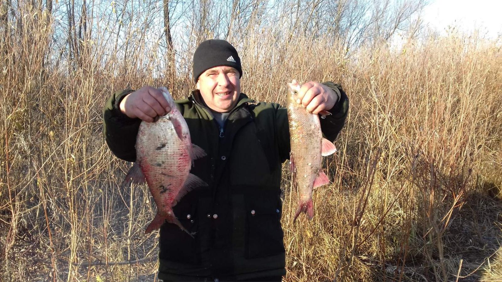 photo 1517147131
