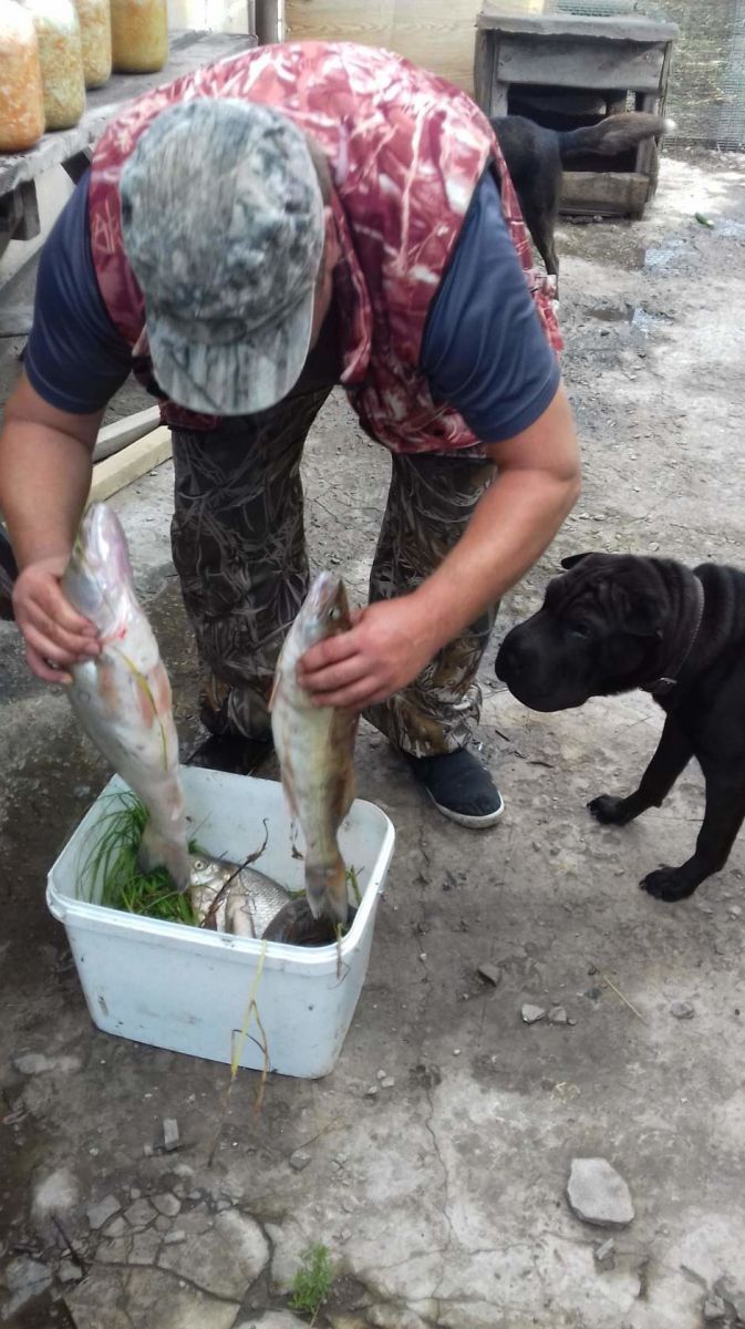 photo 1517147255