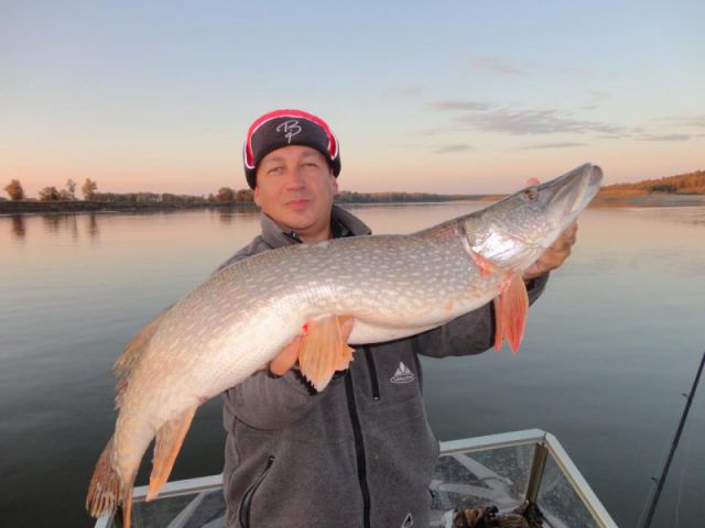 2014. Осень. С Викторычем рыбалили. 2014. Осень. С Викторычем рыбалили.
