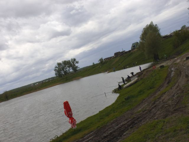 DSCF5391