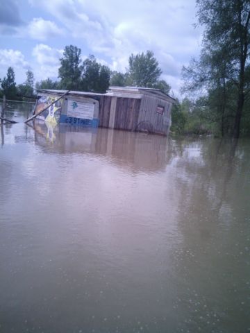 IMG 20140601 104600 IMG 20140601 104600