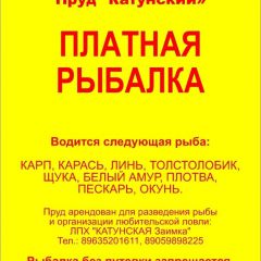 IMG 20190523 193542 575