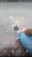 Screenshot 20190524 142723