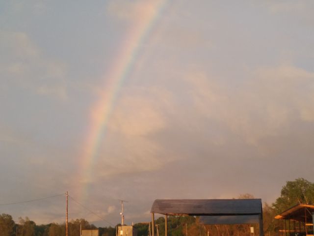 P90601-212748.jpg P90601-212748.jpg