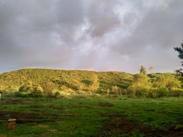 P90601-212055.jpg P90601-212055.jpg