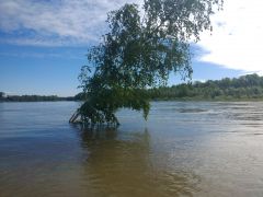 P90602-104439.jpg P90602-104439.jpg