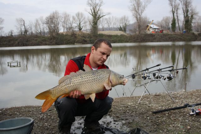 карп 6500 карп 6500