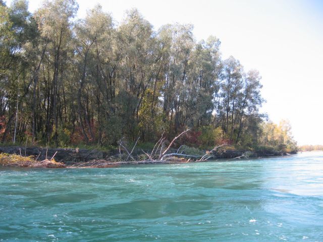 фото 032 фото 032