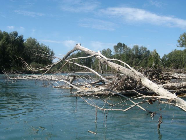 фото 146 фото 146