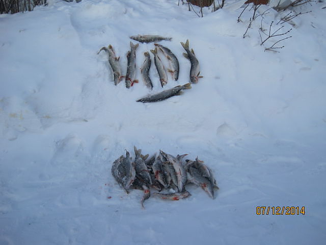 Зимний улов