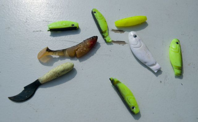 Щучьи шалости Щучьи шалости